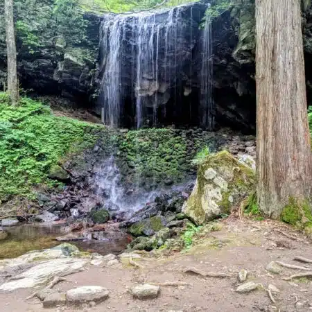 岩井滝|くぐって出会う、滝の裏側の世界 岩井滝|くぐって出会う、滝の裏側の世界