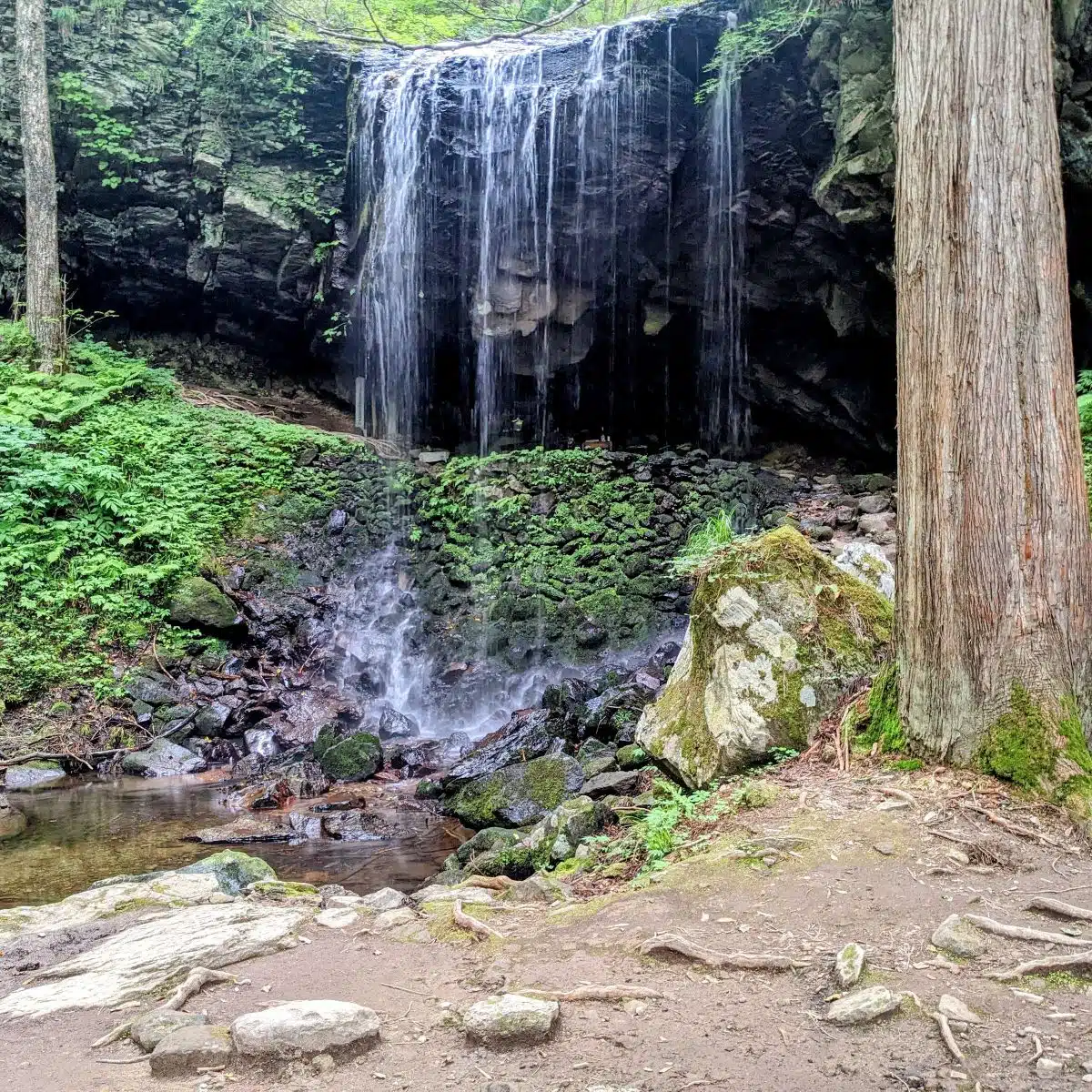 岩井滝|くぐって出会う、滝の裏側の世界 1 岩井滝|くぐって出会う、滝の裏側の世界