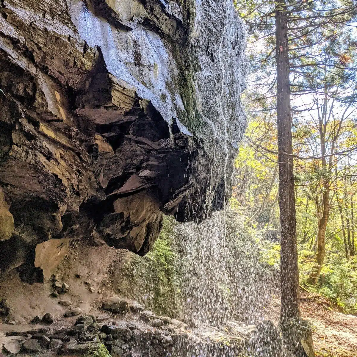 岩井滝|くぐって出会う、滝の裏側の世界 2 岩井滝|くぐって出会う、滝の裏側の世界 - 画像 (2)