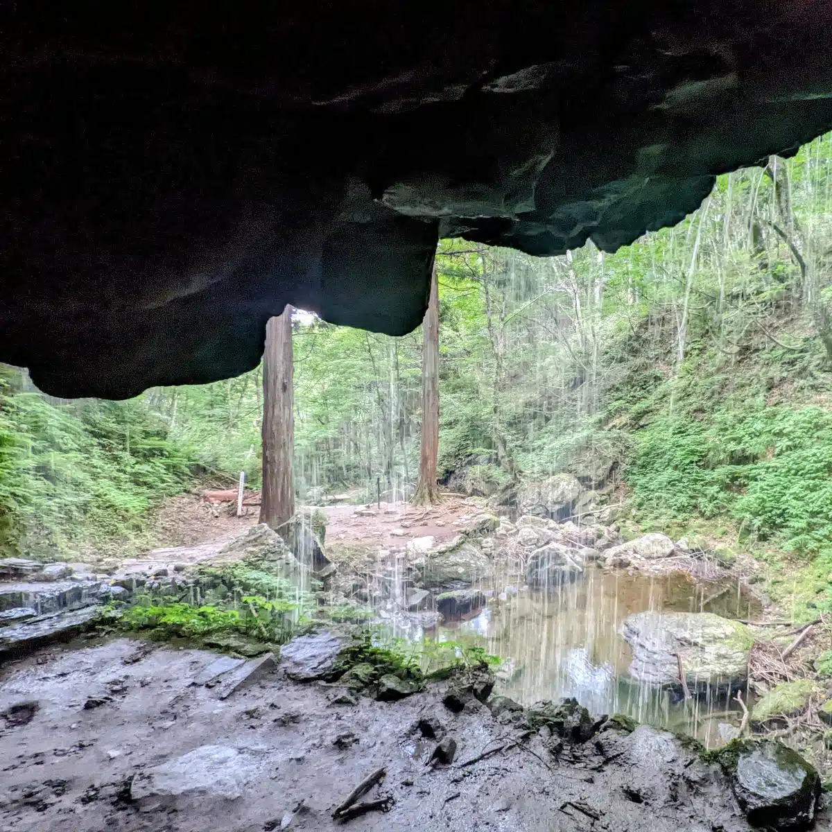 岩井滝|くぐって出会う、滝の裏側の世界 3 岩井滝|くぐって出会う、滝の裏側の世界 - 画像 (3)