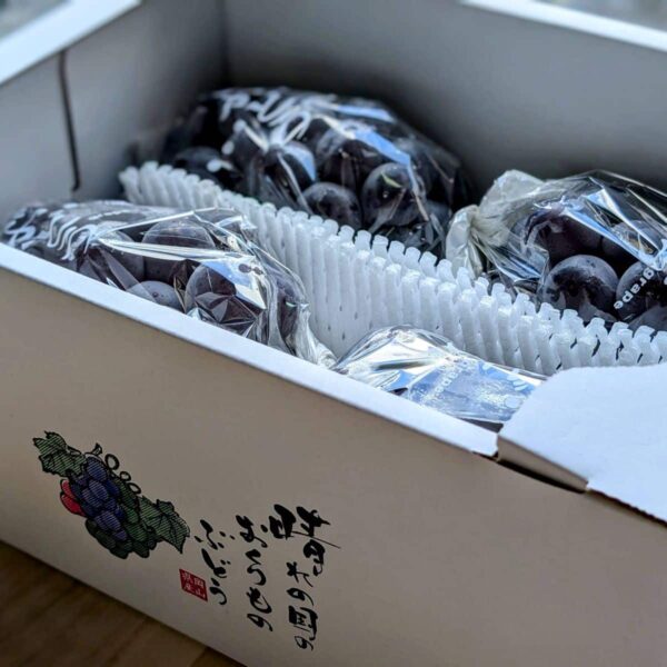 岡山県吉備中央町産 ニューピオーネ（種なし・大粒・2kg） - 画像 (3)