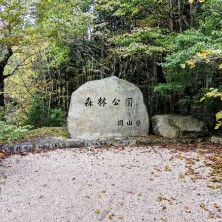 岡山県立森林公園|いのちと静けさに出会う森 岡山県立森林公園|いのちと静けさに出会う森