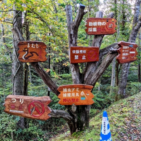 岡山県立森林公園｜いのちと静けさに出会う森 - 画像 (2)