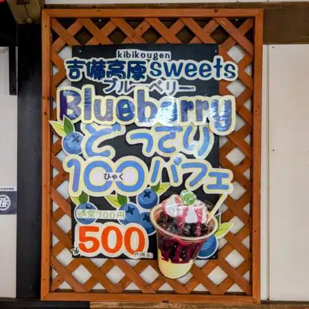 Blueberryどっさり100パフェ｜果実感ゴロゴロ高原スイーツ