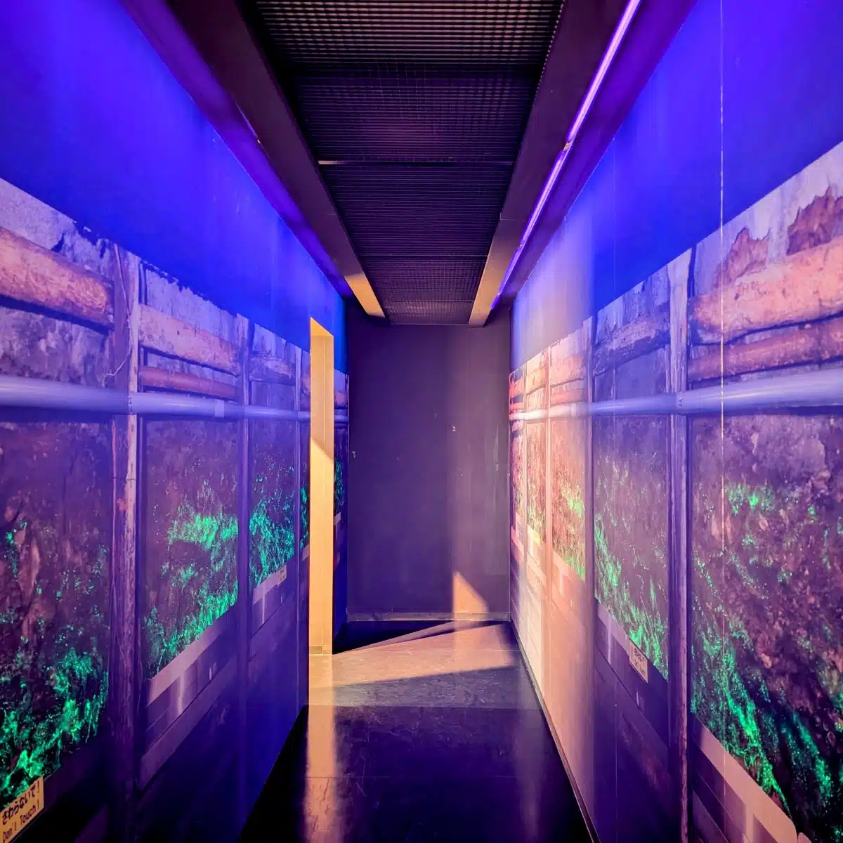 人形峠アトムサイエンス館&上齋原スペースガードセンター|原子と宇宙をめぐるワクワク体験 6 人形峠アトムサイエンス館&上齋原スペースガードセンター|原子と宇宙をめぐるワクワク体験 - 画像 (6)